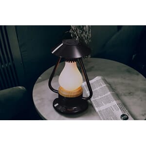 Wild Land 5 Elements